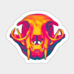 Heatdeath of the Mewniverse Sticker